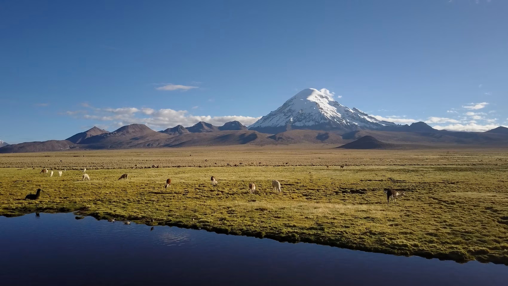 an image showing an open field with wildlife and a snowy mountain in the distance